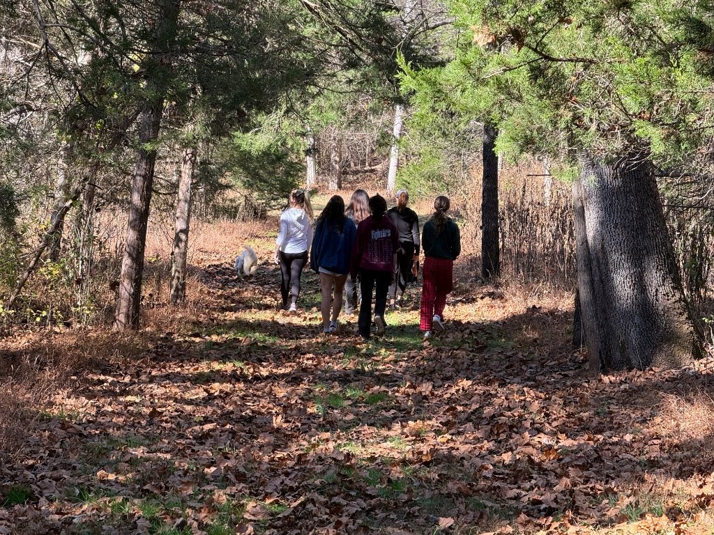 A cohort walking a wooded trail on the Leigheas campus