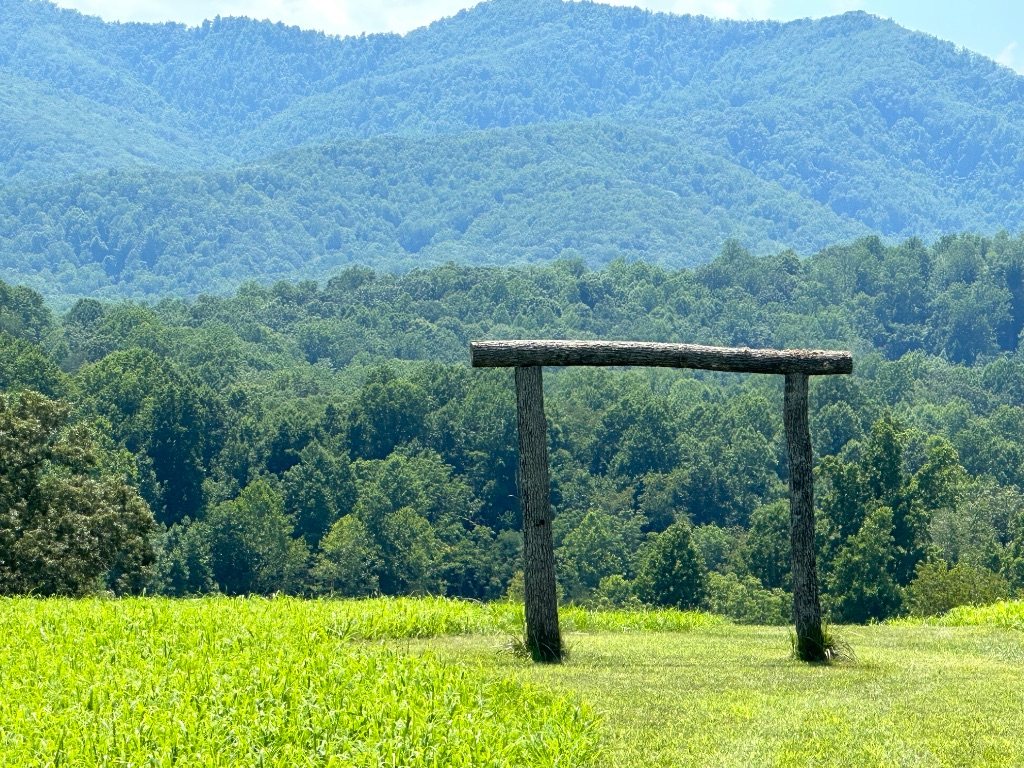 Meadow Gate — Mountain Vista